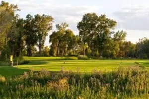 Fairway lined with cottonwood trees at Cattails Golf Club in Alamosa, Colorado