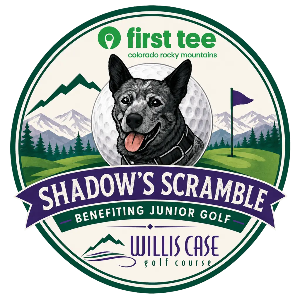 shadows-scramble-willis-case