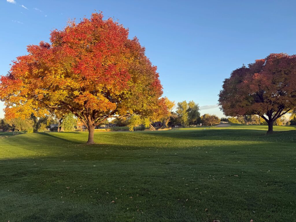 Greenway Park Golf Course in Broomfield, Colorado